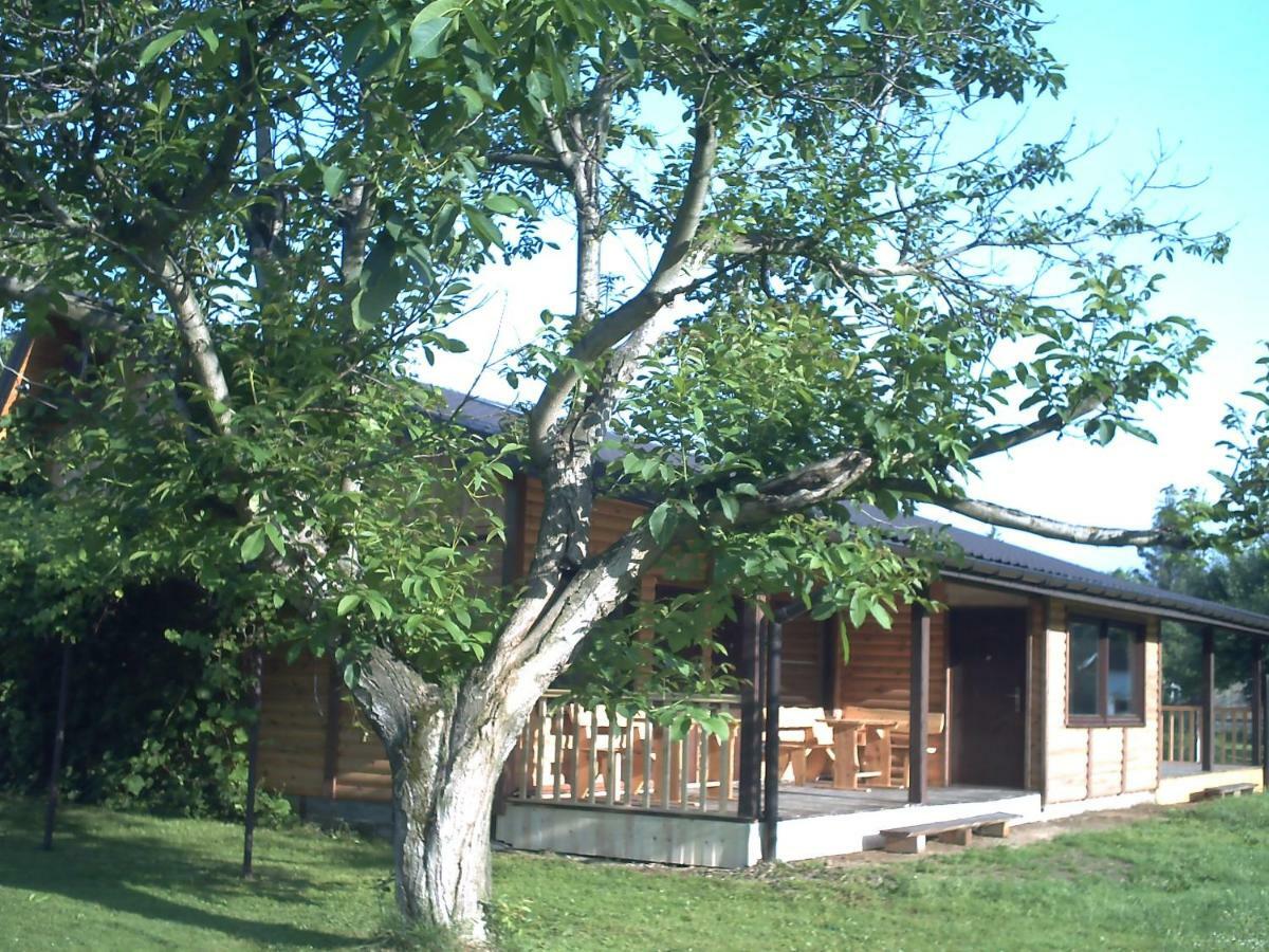 Pod Orzechem Villa Санок Екстериор снимка